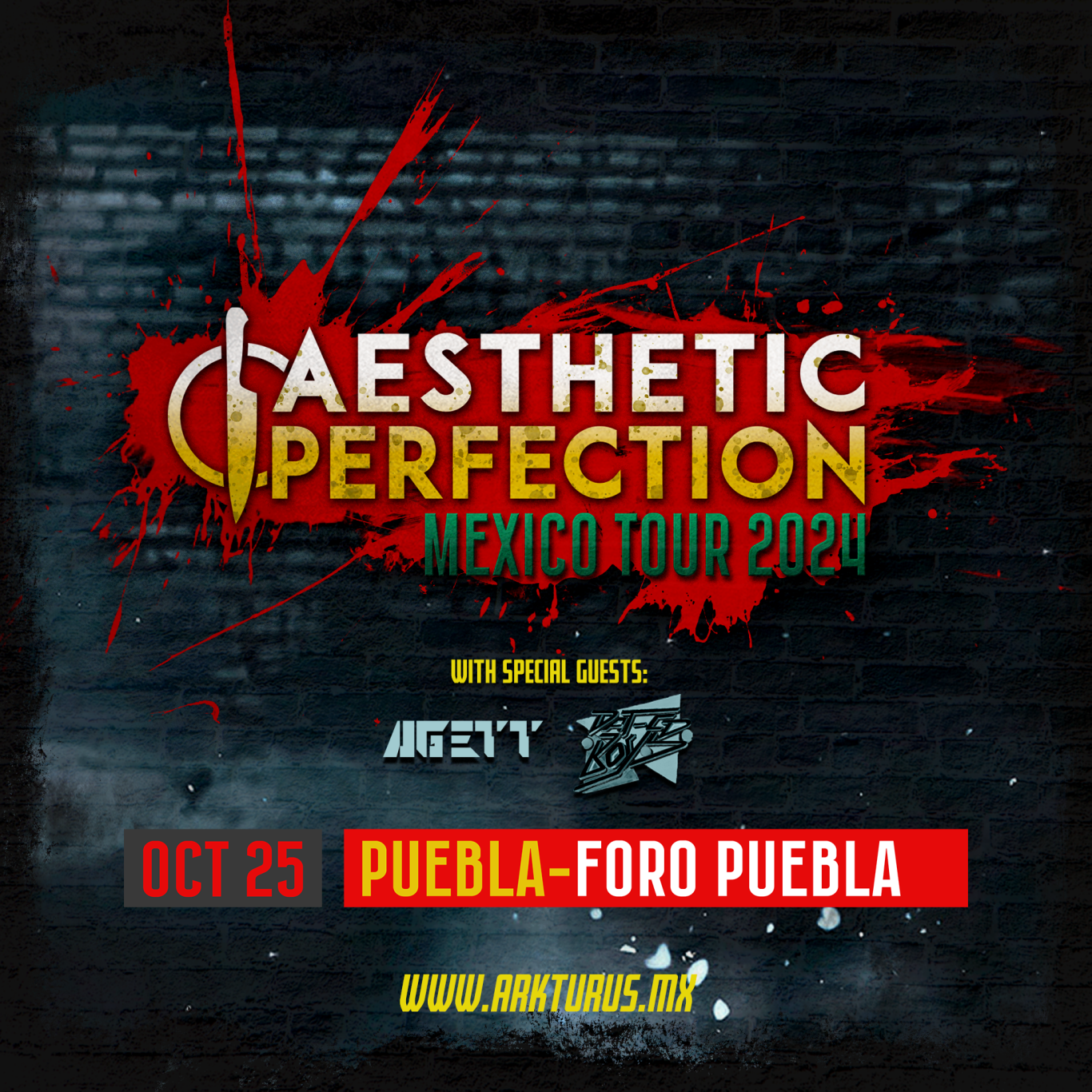 Aesthetic Perfection en CDMX